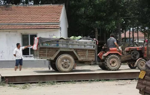 惠民某西瓜市場過地磅1斤1分錢 地磅老板穩(wěn)賺不賠